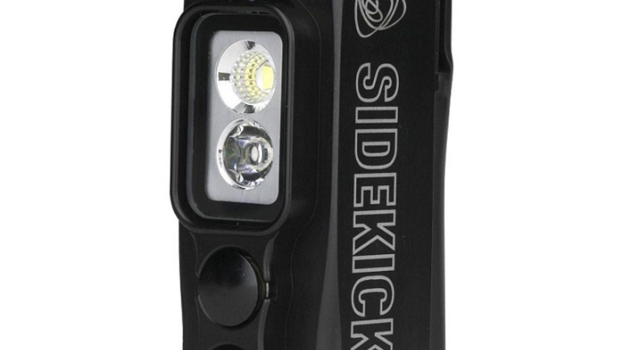 Gopro sidekick hot sale