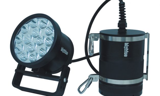 A Practical Guide to Buying Dive Lights at Walmart