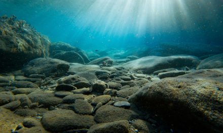 Underwater Photography Lighting Guide