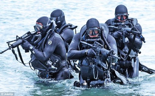 Public safety dive team during an underwater operation
