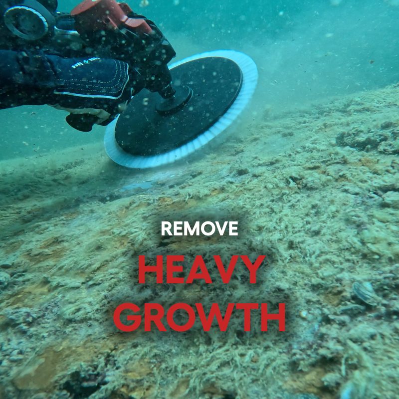 ⁦Hull Cleaner Scraper Brush for Heavy Growth⁩ – תמונה ⁦4⁩