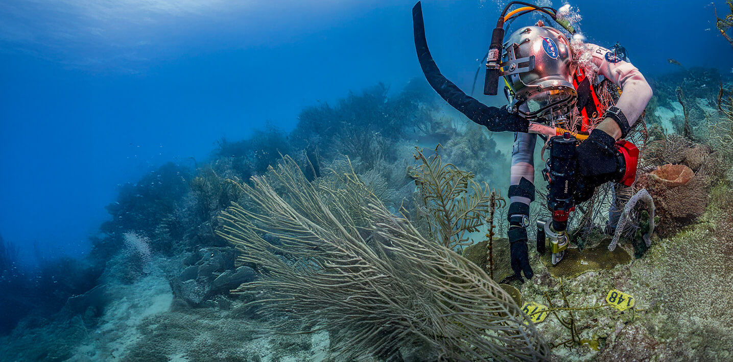 Professional using Nemo Power Tools underwater
